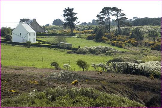 Description : Bretagne-avril-2006_480