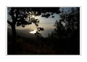 Projet_22072016_0163 copie