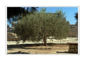 Projet_22072016_0210-Récupéré copie